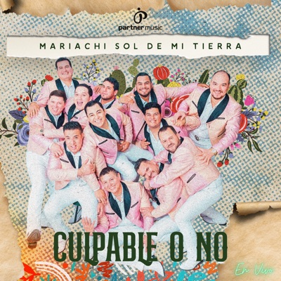 Culpable o No (En Vivo) - Single