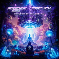 Imagination Unleashed - Single - Alternate Side & Cronick