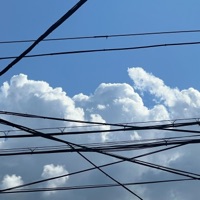 pov: you are in love no one understands - Single - Milkoi