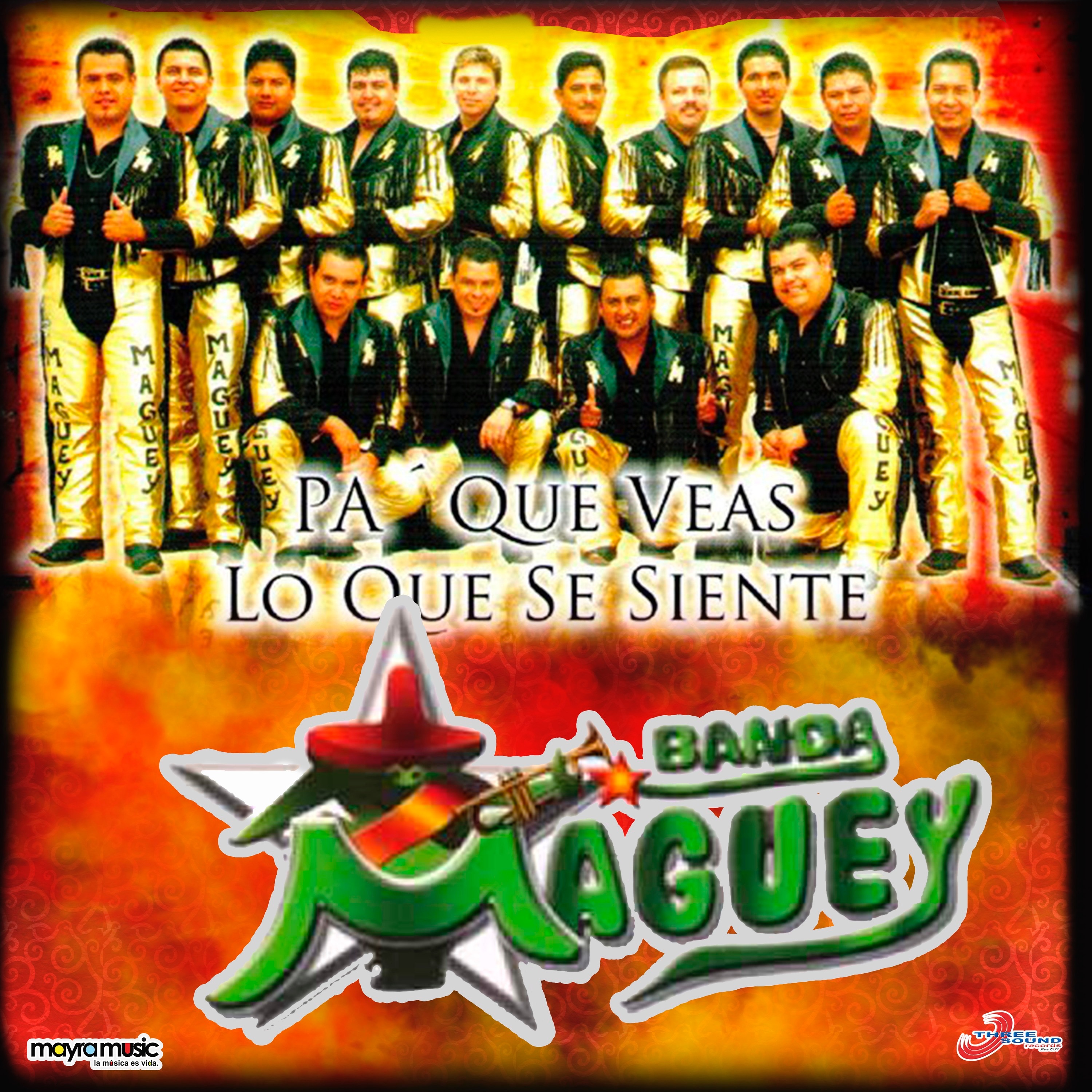 Pa' Que Veas lo Que Se Siente