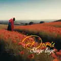 Sluge tuge