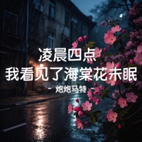 凌晨四点 我看见了海棠花未眠 - Single - 炮炮马特