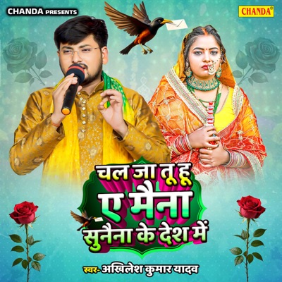 Chal Ja Tu Hu Ye Maina Sunaina Ke Desh Me - Single
