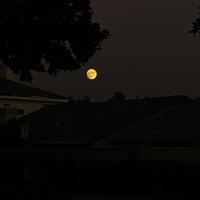 MIA - Single - MAESTRORAGE