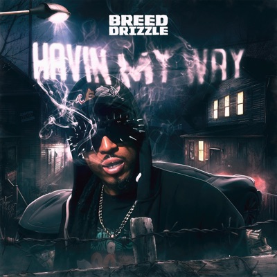 HAVIN MY WAY - Single