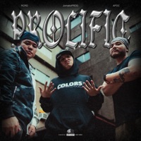 PROLIFIC (feat. RCRD, JomattzPRDG & Apoc the Death Architect) - Single - Parallel