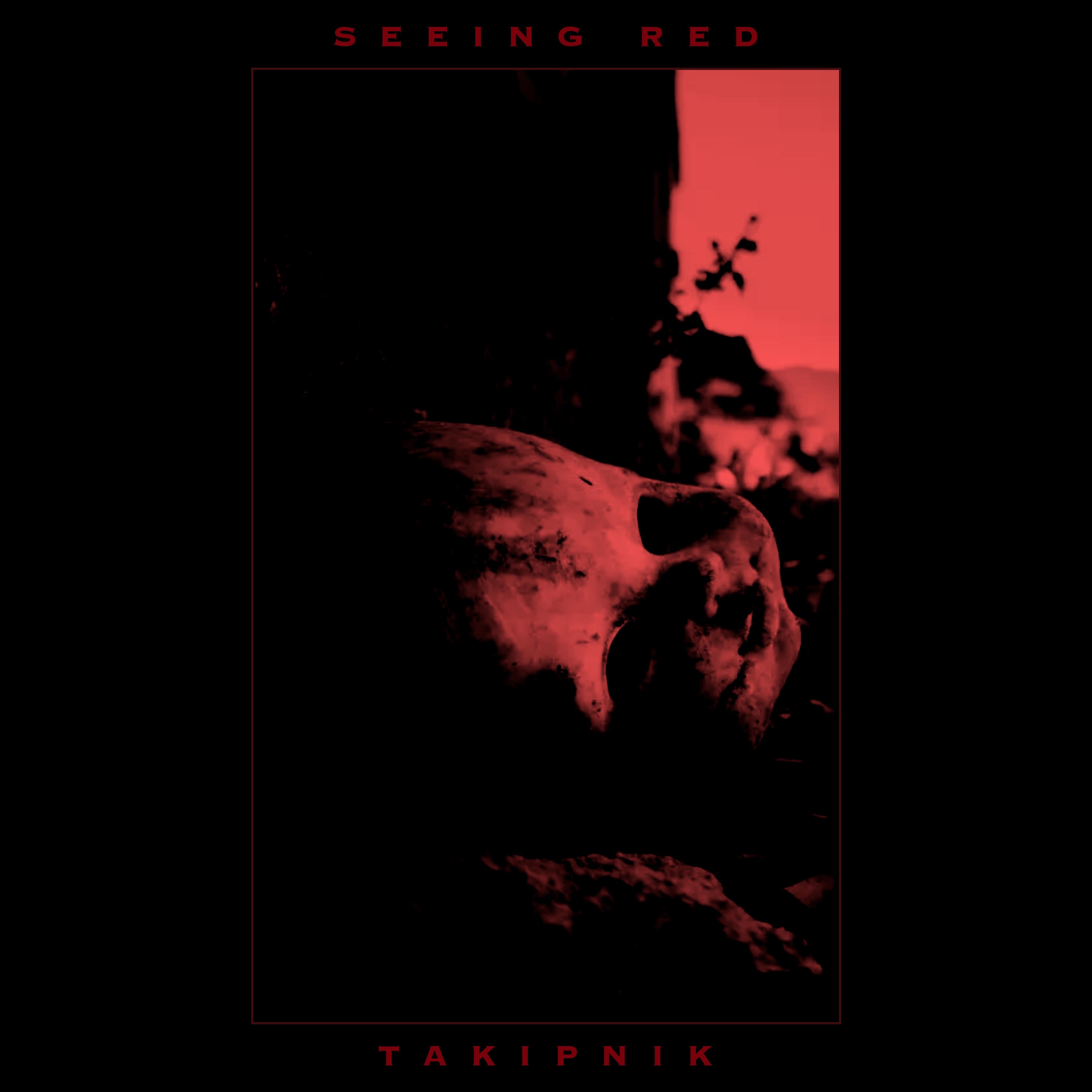 Seeing Red - Single