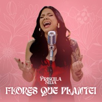 Flores Que Plantei - Single - Priscila Silva