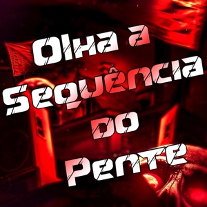 Olha a Sequência do Pente (feat. os Hawaianos)