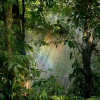 Till The Reichwalds - Single - Juxtaposer