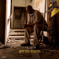 חלומות התרסקו - Single - Shir Levi