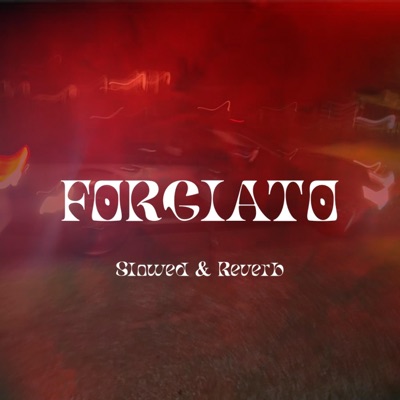 Forgiato (Slowed & Reverb) - Single