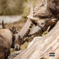 SIN CITY 2 - Single - Oscar & Amuly
