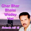 Ghar Bhar Bholai Wadey Hai - Single