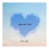 Why We Love - Single - Rasmus Hagen