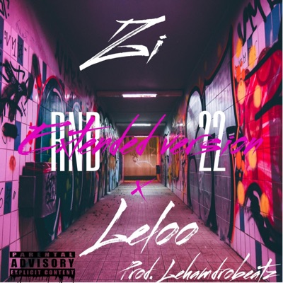 RNB 22 (feat. Leloo) [EXTENDED] - Single