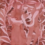 Natalie Jane Hill - Colors