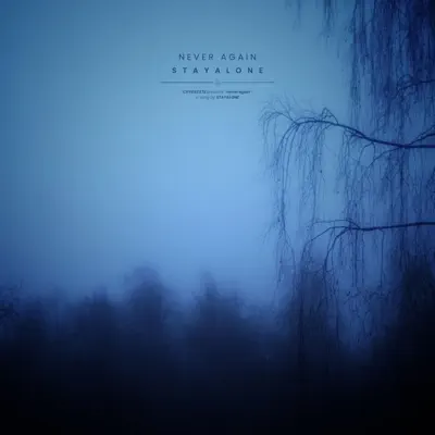 Ascolta 'never again - Single' di stayalone