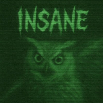 INSANE! (feat. Grizmo) - Single
