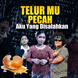 Telurmu Pecah, Aku Yang Disalahkan Album Art