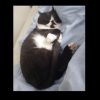 thought three (rainy day) - Single - Dntst