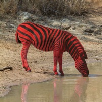 Красные полосы - Single - POZVONY MNE & Puffy Puff