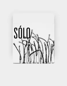 SÓLOを聴いたり、ミュージックビデオを鑑賞したり、経歴やツアー日程などを確認したりしましょう！