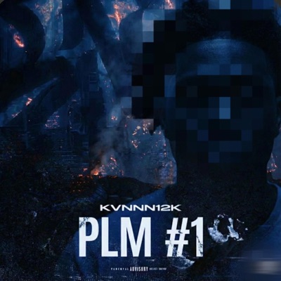PLM #1 - Single