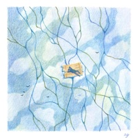 River So Free (feat. aron!) - Single - Neal Cranston