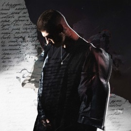 Птицы Pollary Kid