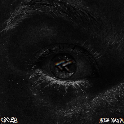 EYELINER (feat. Gush Mafia) - Single