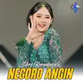 Silvy Kumalasari