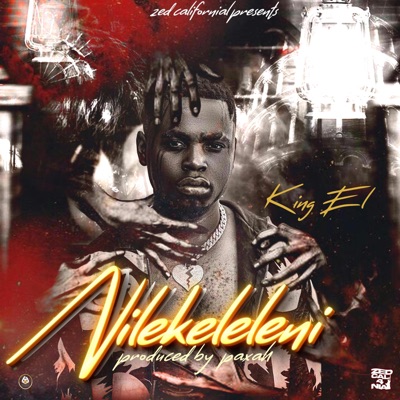 Nilekeleleni - Single
