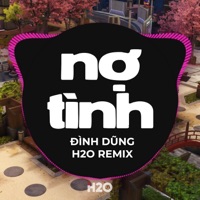 Nợ Tình (Remix) - Single - H2O Vinahouse & Đình Dũng