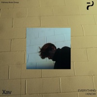 Everything I Know - Single - Xav