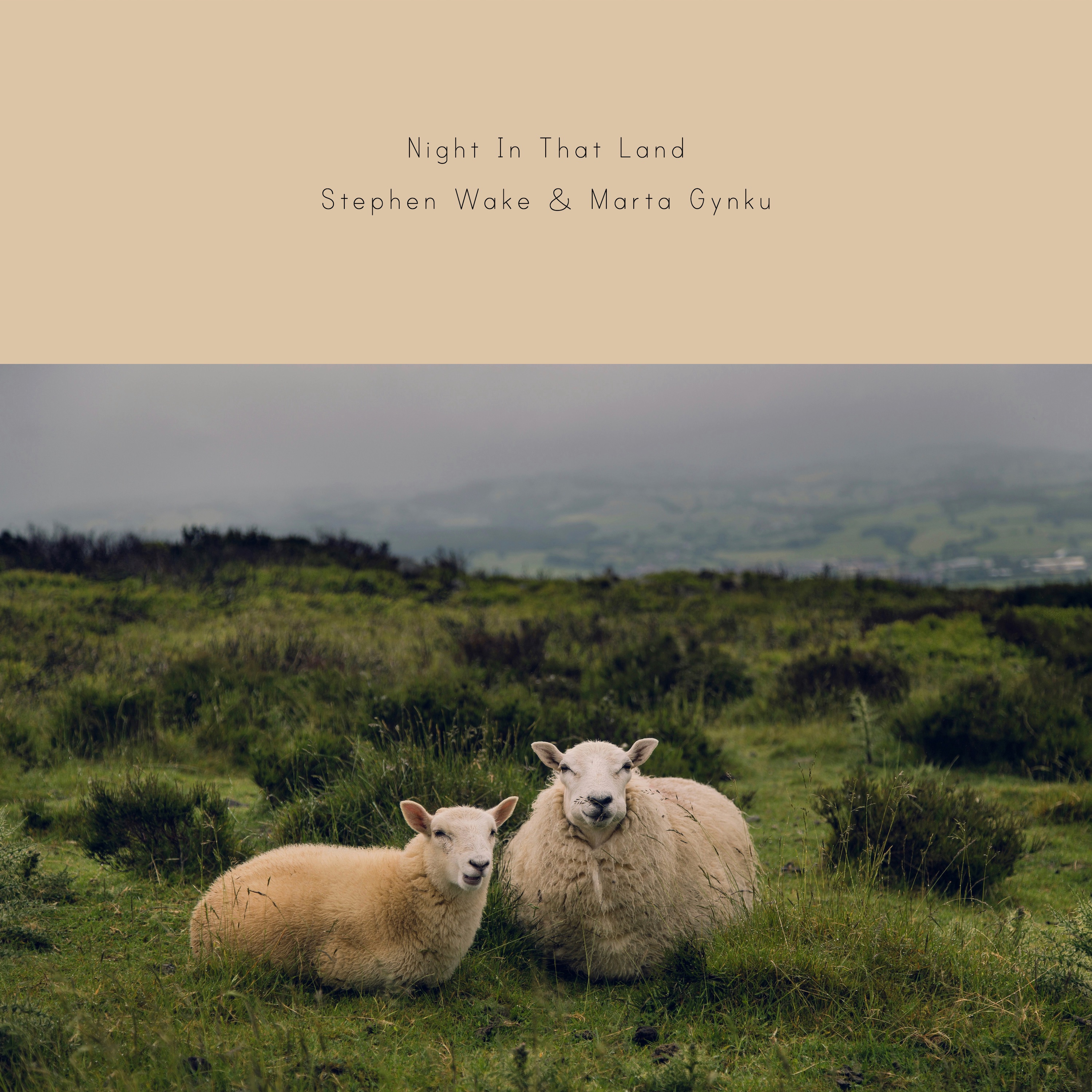 Night In That Land - Single
