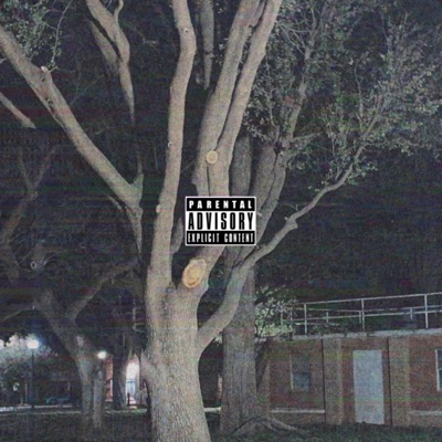 Swim Level (Slowed + Reverb) (feat. APOC KRYSIS) - Single