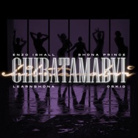 Chibatamabvi (feat. Shona Prince & Takura) [Remix version] - Single - Learn Zimbabwe & Enzo Ishall