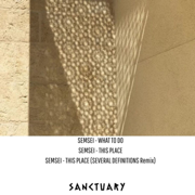 This Place (Several Definitions Remix) - Semsei