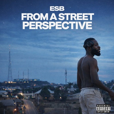 From a Street Perspective
