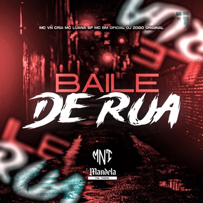 Baile de Rua (feat. MC Luana SP) - Single