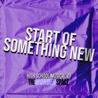 Start of Something New (feat. Savannah Brister & Christopher Lawrence) - Single - The Wonder Space Covers