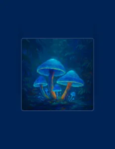 Ouve Maksim Predkov, vê vídeos de música, lê a biografia, vê as datas da digressão e muito mais!