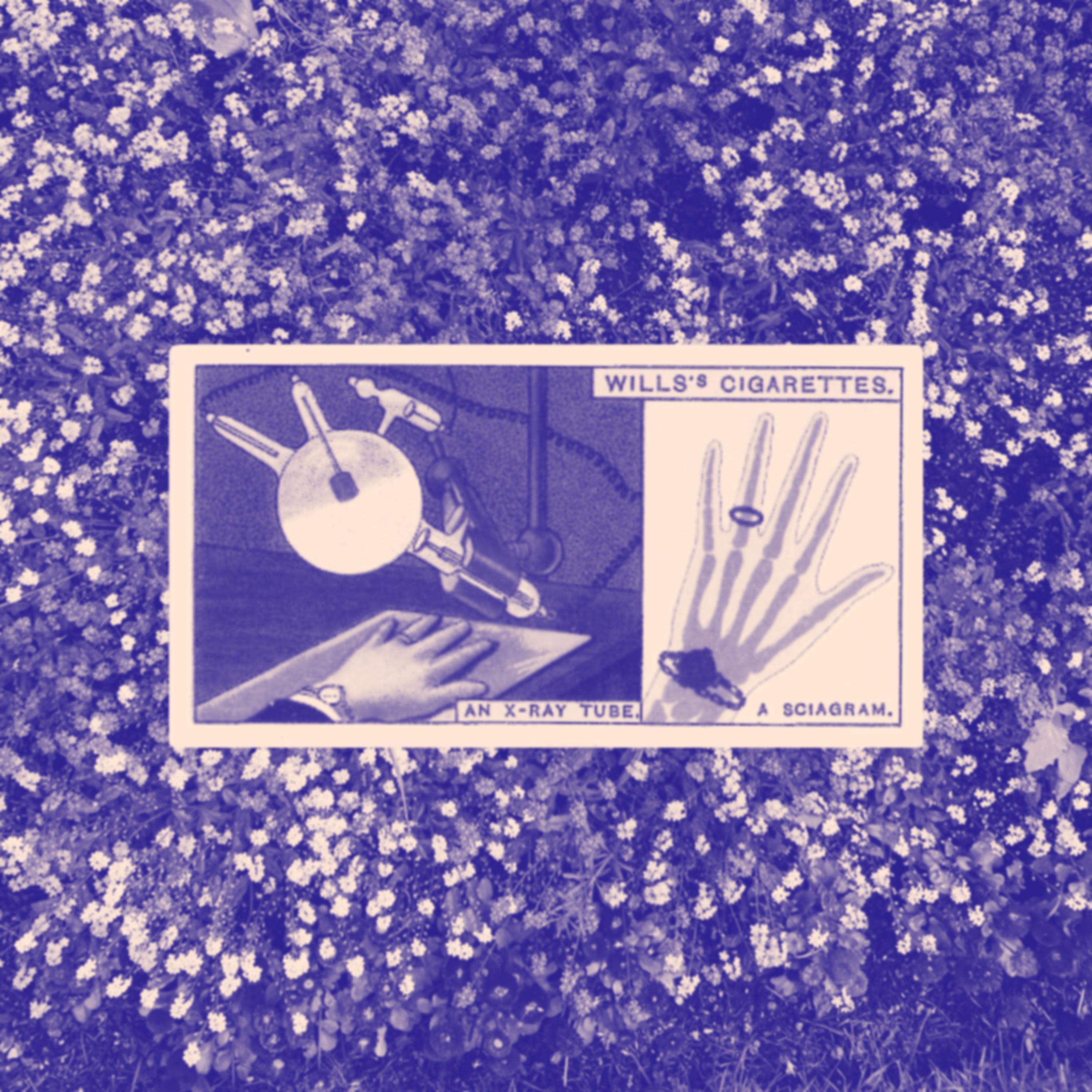 Silverwings - Single