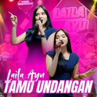 Tamu Undangan - Single - Laila Ayu & New Pallapa Official