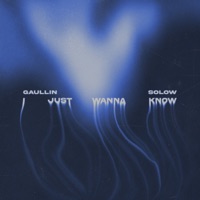 I Just Wanna Know - Single - Gaullin & Solow