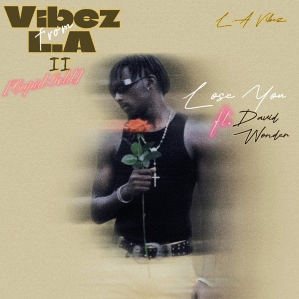 Vibez from L.A II (Cupid Gold) - Lose You [feat. David Wonder]