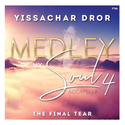 Medley of My Soul 4 - EP