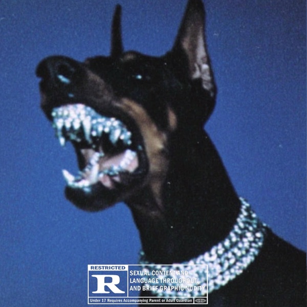 No Sleep (feat. Kakophany Kidd & NickyTikk)