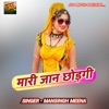 Mari Jaan Chodgi - Single